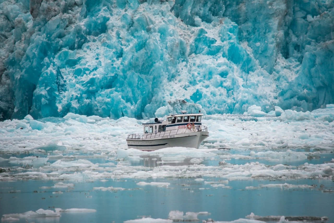 Cruise around the glaciers Featured Image