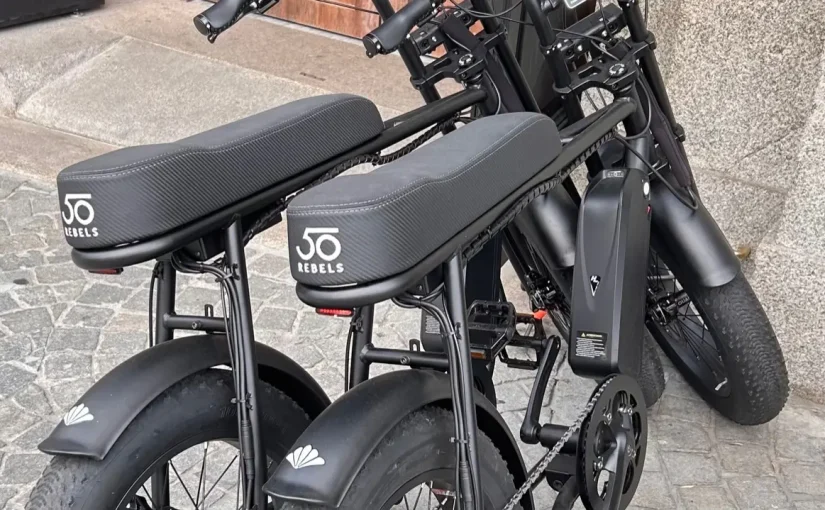 50 rebels
