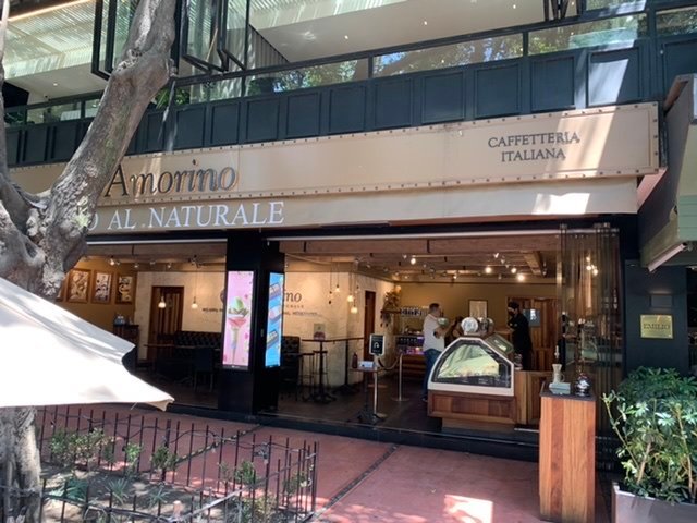 Amorino polanco