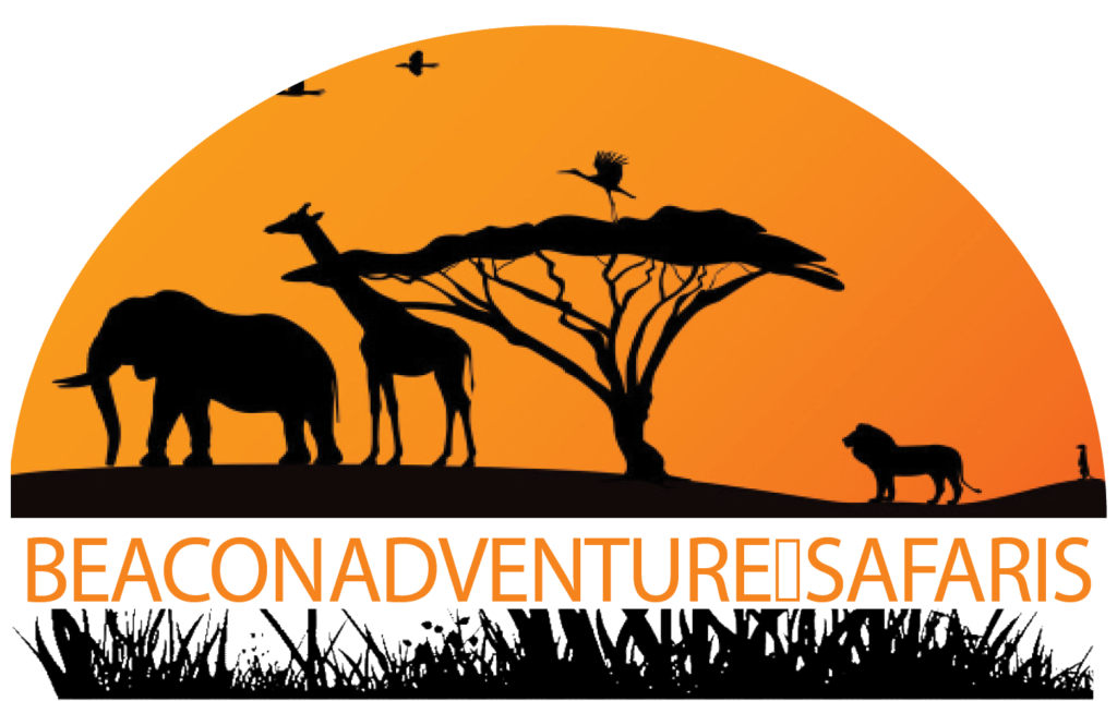 Beacon Adventure & Safari Featured Image