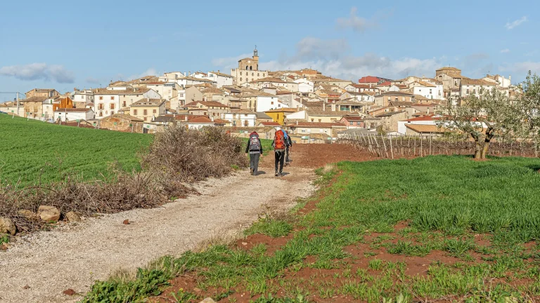 Spiritual Journey of Camino de Santiago
