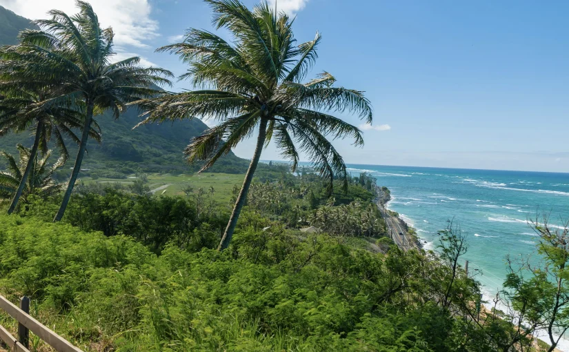 Discover Hawaii on a Budget in 2025