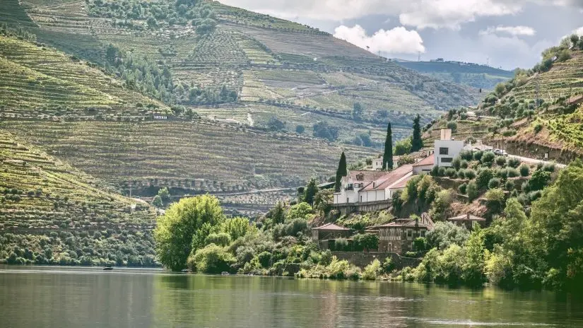 Douro Valley