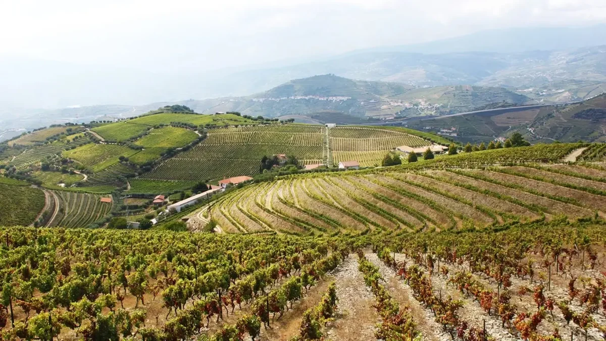 Douro Valley Tour Featured Image