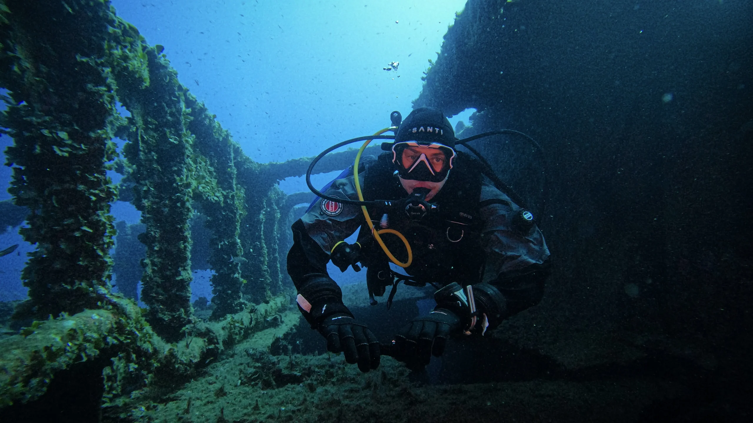 Scuba Diving in Portugal Featured Image