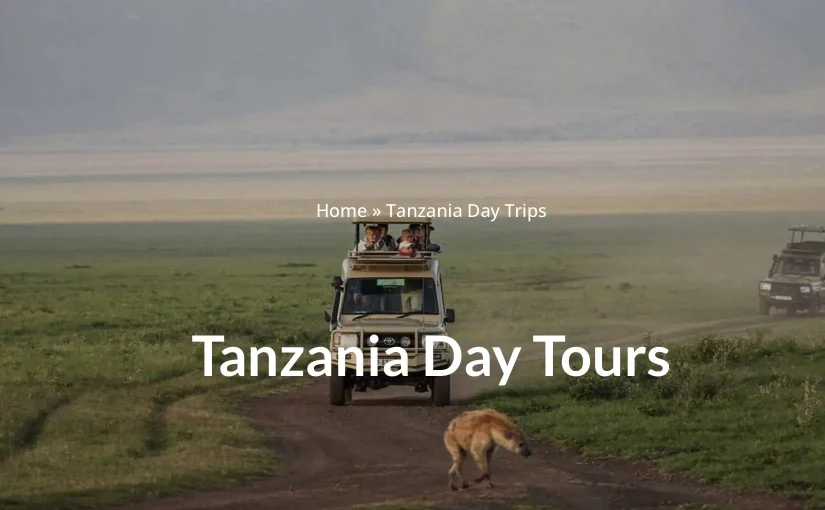 Exploring the Wonders of Africa