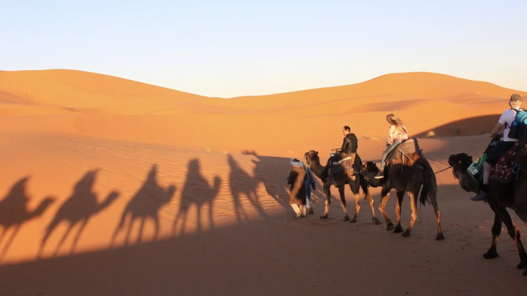 Great Desert Tours