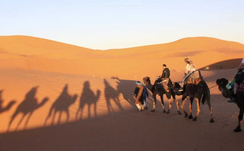 Great Desert Tours