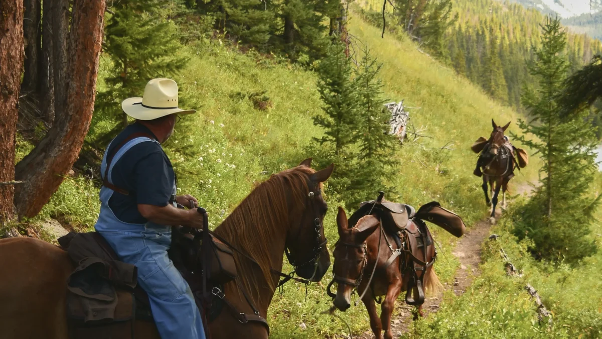 Horseback Riding Bariloche Featured Image