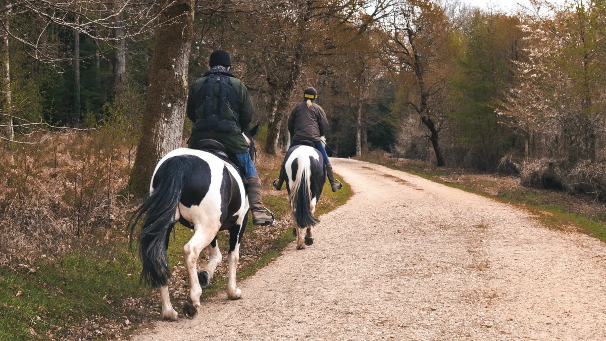 Horseback Riding El Calafate Featured Image