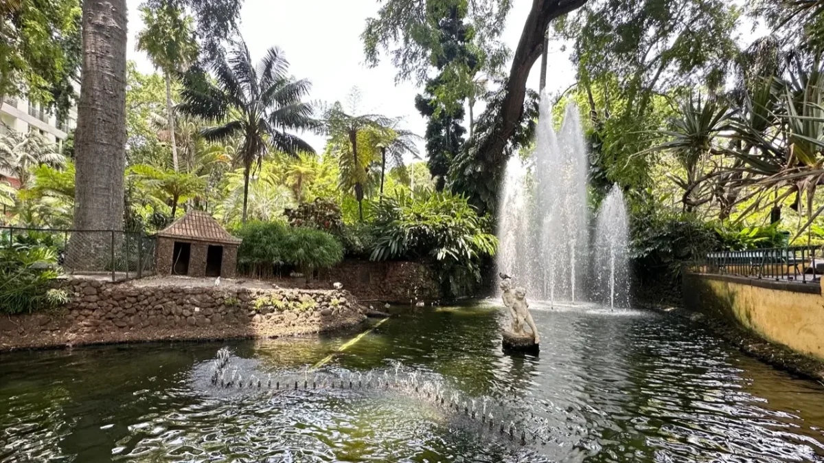 Jardim Municipal do Funchal Featured Image
