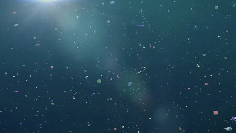 Microplastics Are 'Horrible' for Your Health