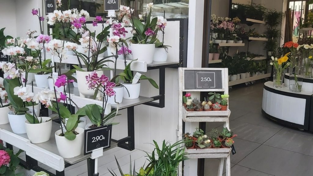 Paula’s flowers boutique