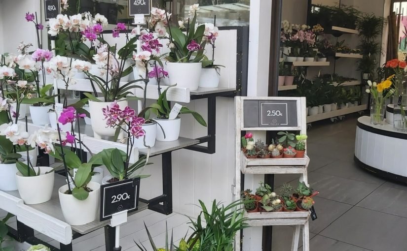 Paula’s flowers boutique