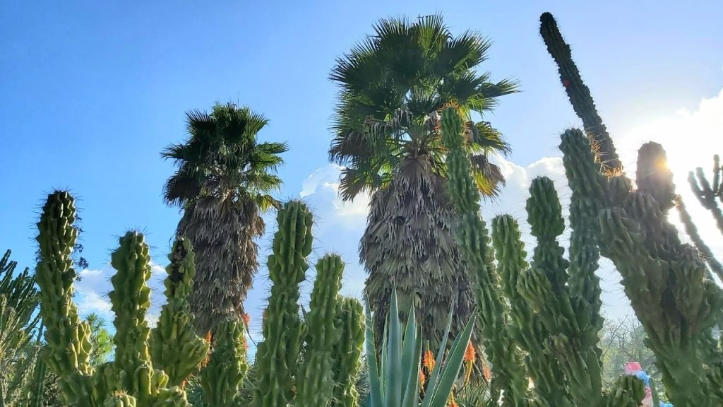 Botanical Garden in Porto