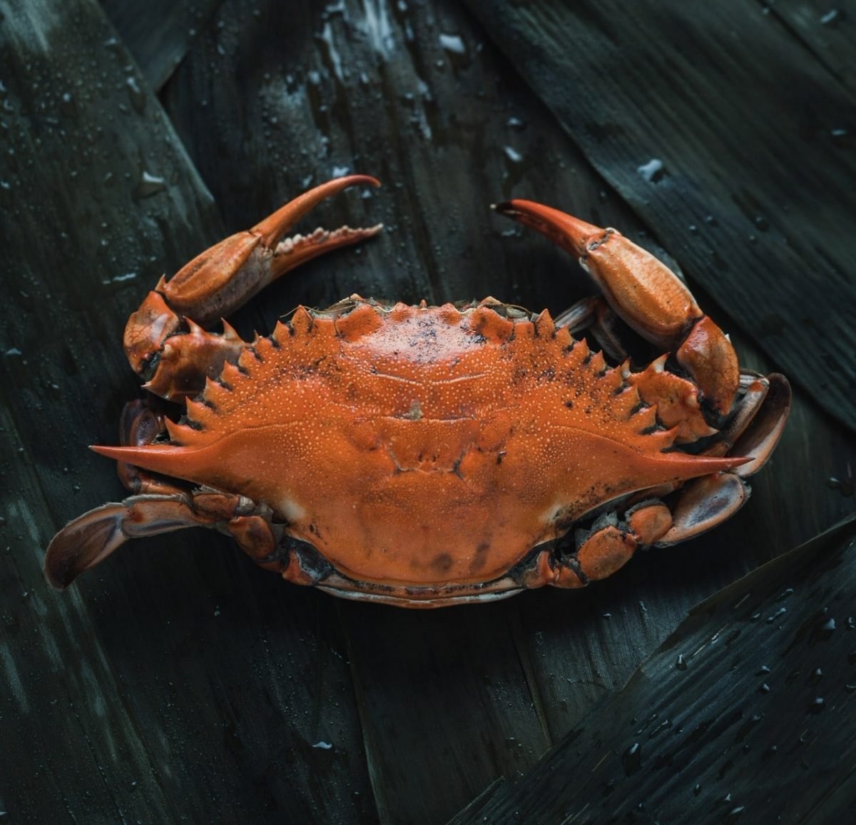 Marisqueira Antiga Featured Image