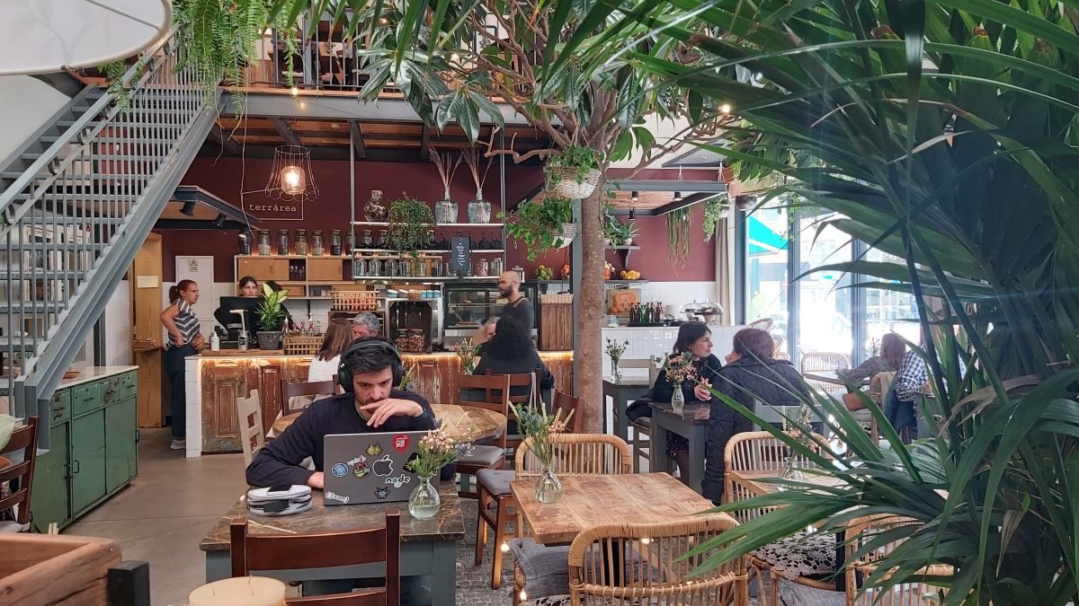 Terrárea Featured Image