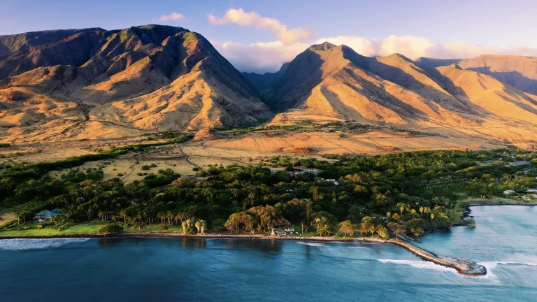 Maui: Image