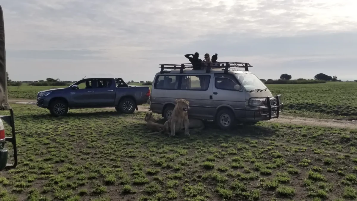 Ubumwe Tours and Travel Uganda Limited Featured Image