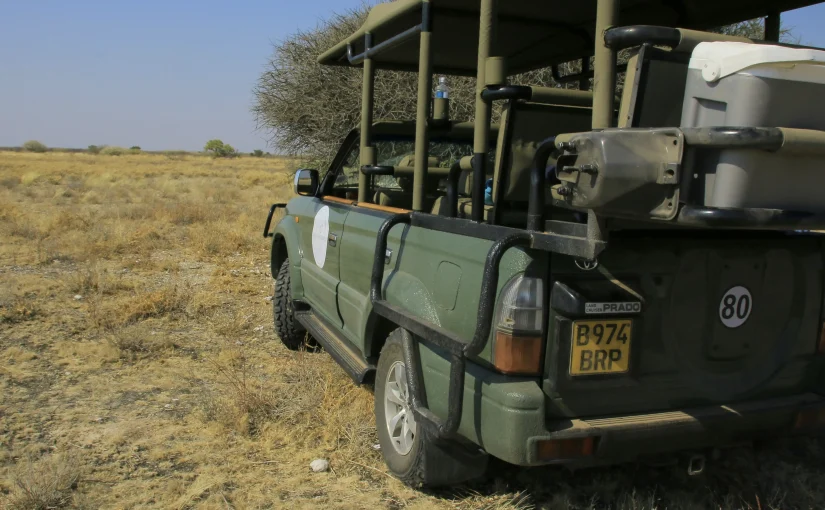 Safari in Africa
