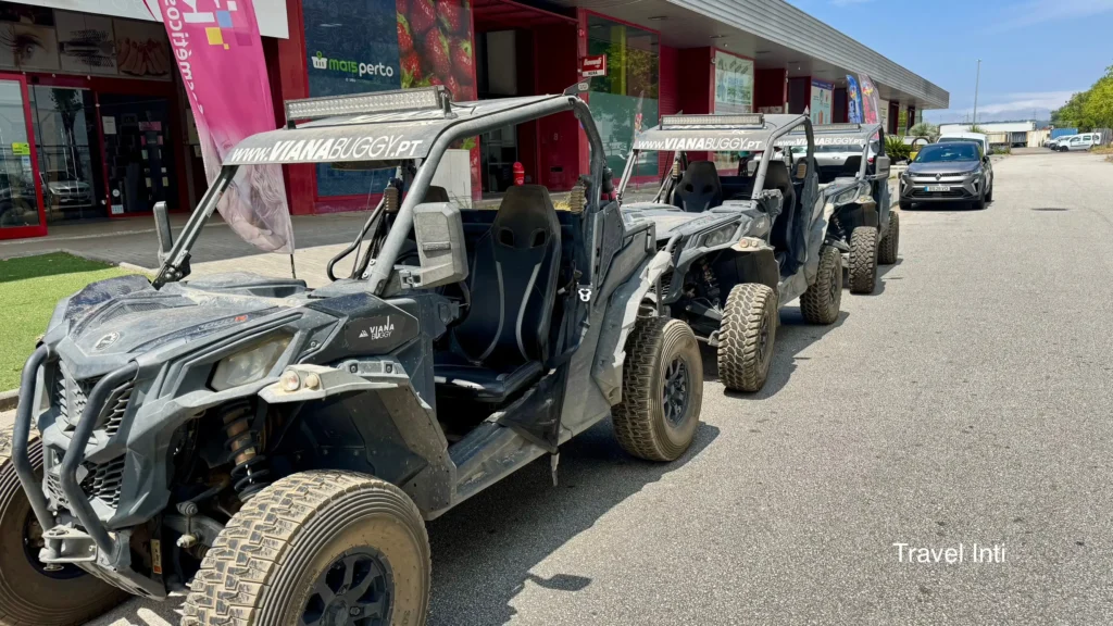 Viana Buggy
