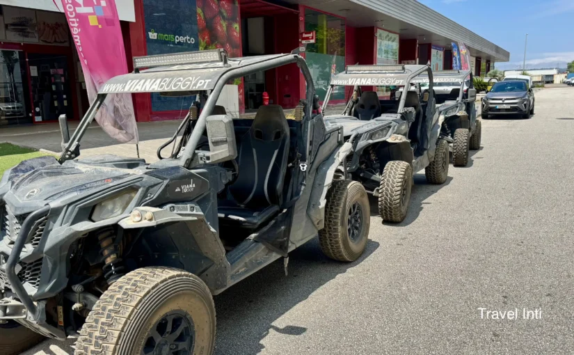 Viana Buggy