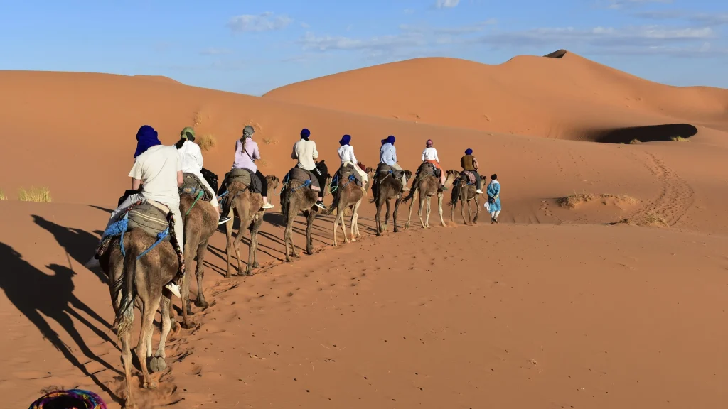 Camel Ranch Eilat