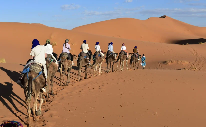 Camel Ranch Eilat